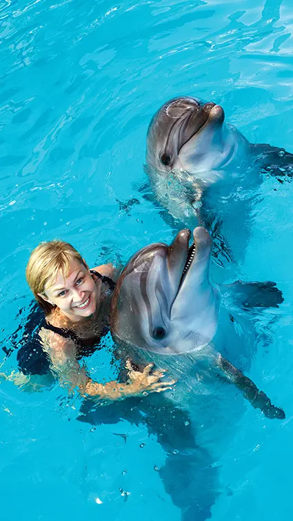 Une destination parfaite pour des vacances en famille